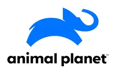 logo sample3